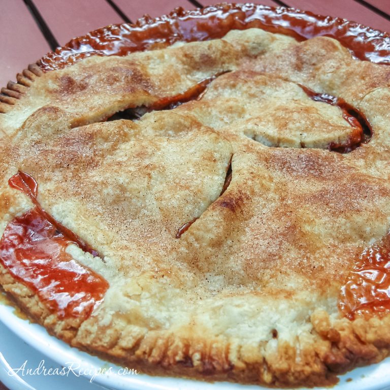 Rhubarb Pie - Andrea Meyers