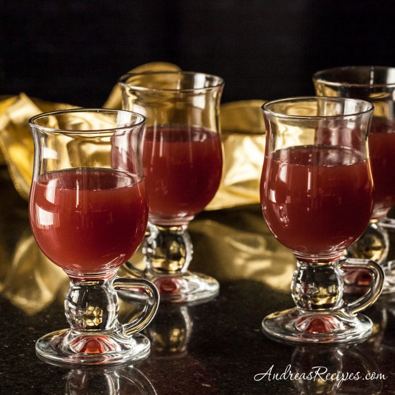 Hot Apple Cranberry Cider - Andrea Meyers