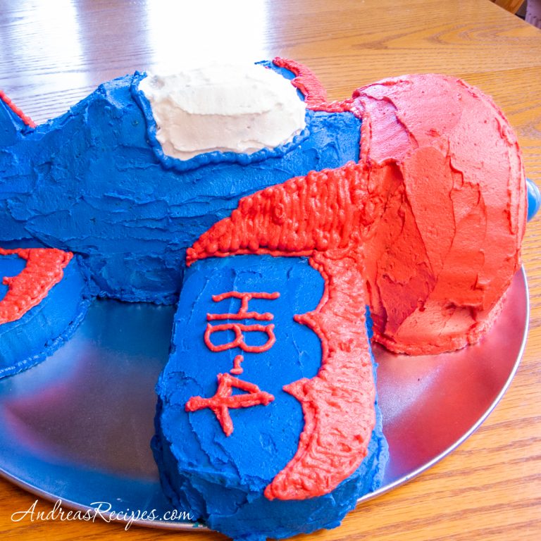 Airplane birthday cake, side view - Andrea Meyers