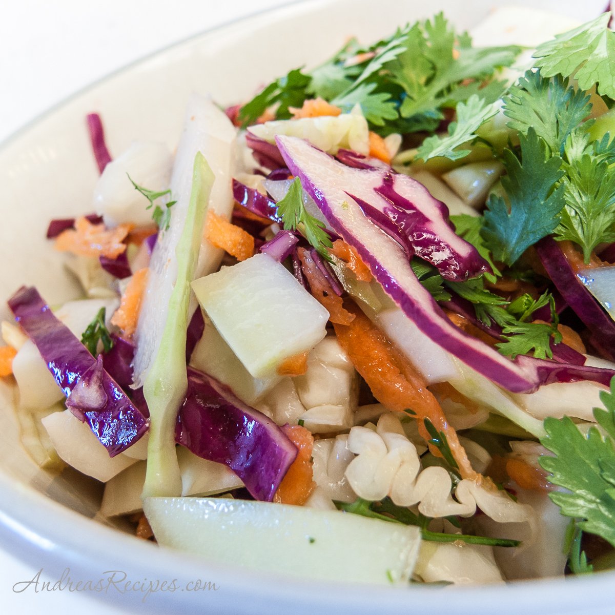 Cilantro Slaw - Andrea Meyers