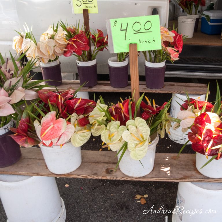 Anthuriums at KCC Market, Hawaii - Andrea Meyers