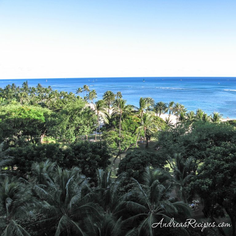 Hawaii, view from hotel - Andrea Meyers