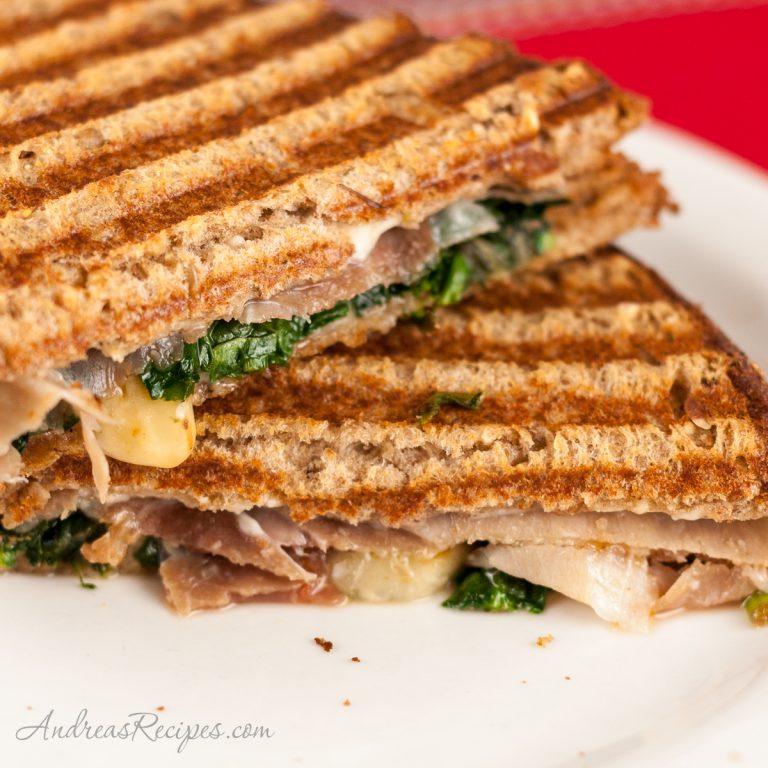 Panini with Prosciutto, Fontina, Spinach and Slow-Roasted Tomatoes - Andrea Meyers