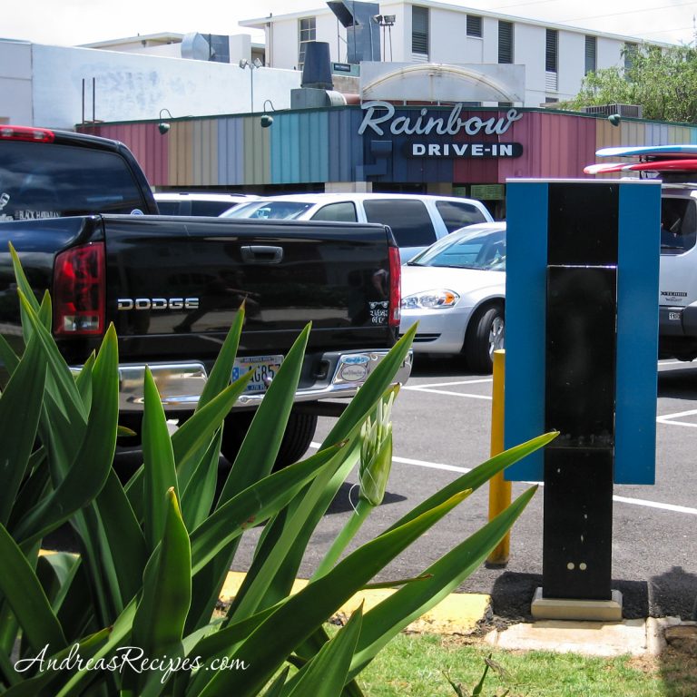 The Rainbow Drive-In (Hawaii) - Andrea Meyers