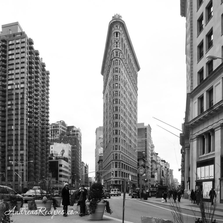 Flatiron Building, New York City - Andrea Meyers