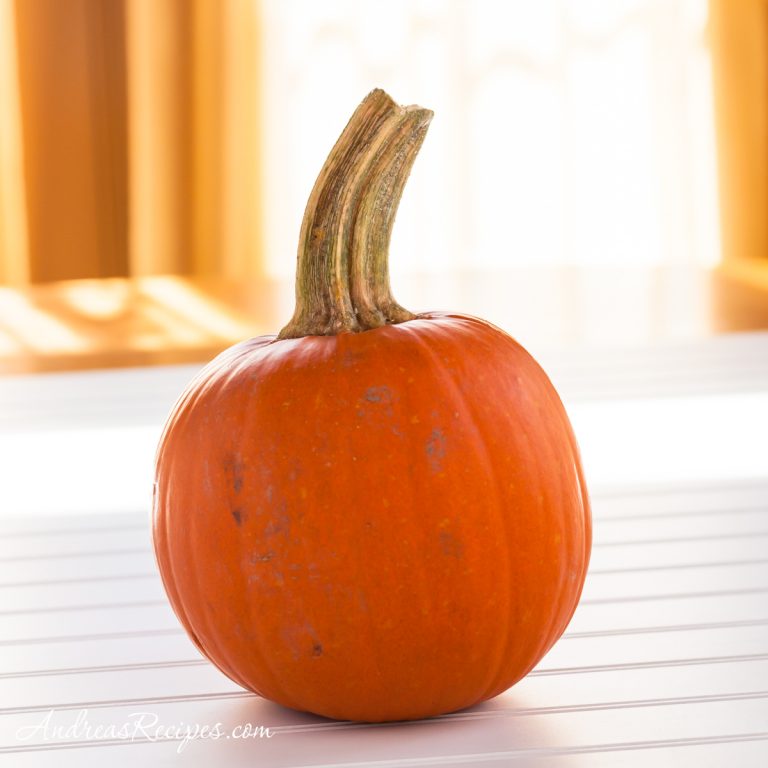 Sweet pumpkin - Andrea Meyers