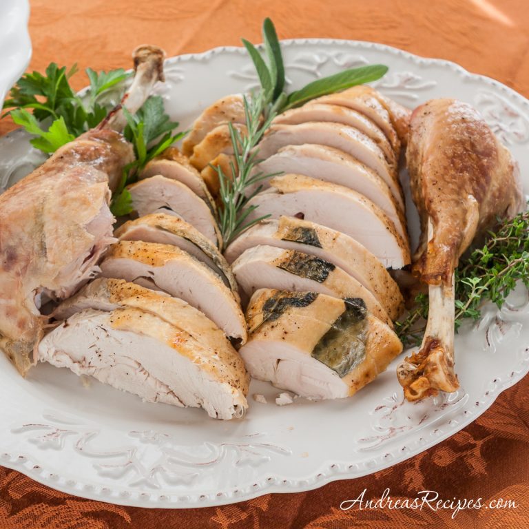 Roast Turkey in a Roaster Oven - Andrea Meyers